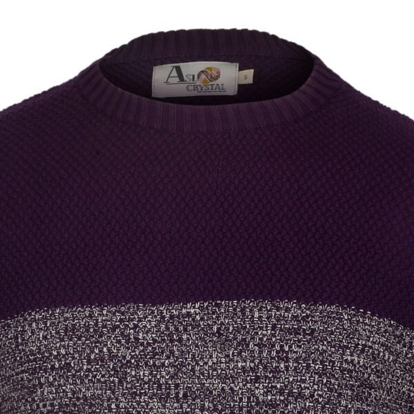 Contemporary Cotton Colorblock Sweater For Men - Asl Crystal - Image 4