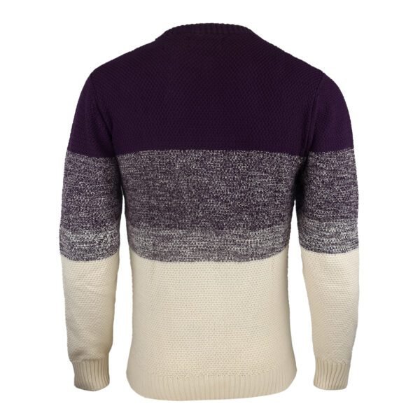 Contemporary Cotton Colorblock Sweater For Men - Asl Crystal - Image 5