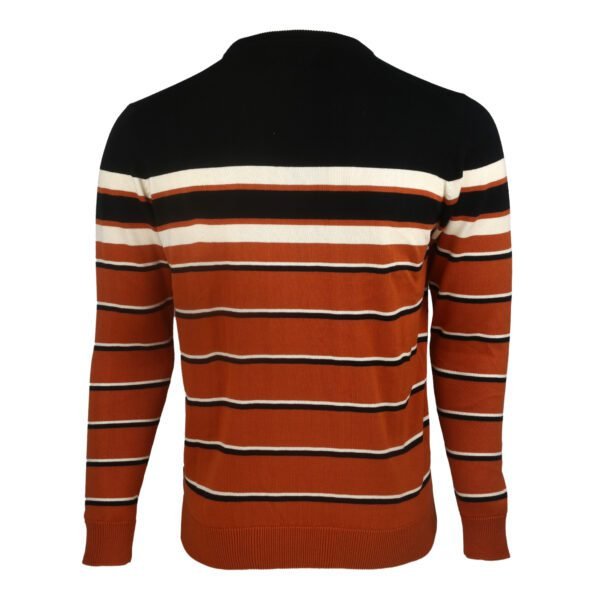 Autumn Radiance Sweater For Men - Asl Crystal - Image 4
