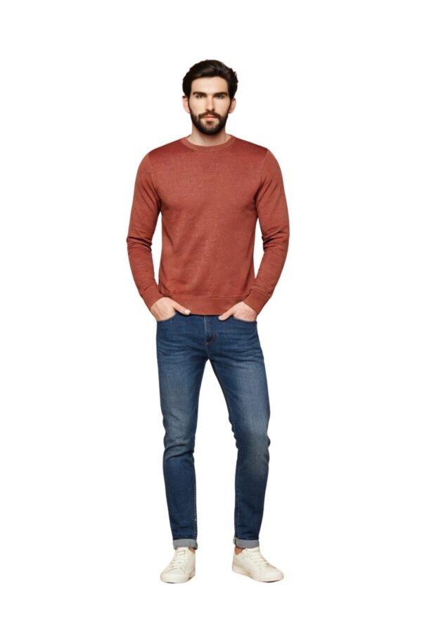 Autumn Hues Men's Crew Neck Sweater  - Asl Crystal - Image 2