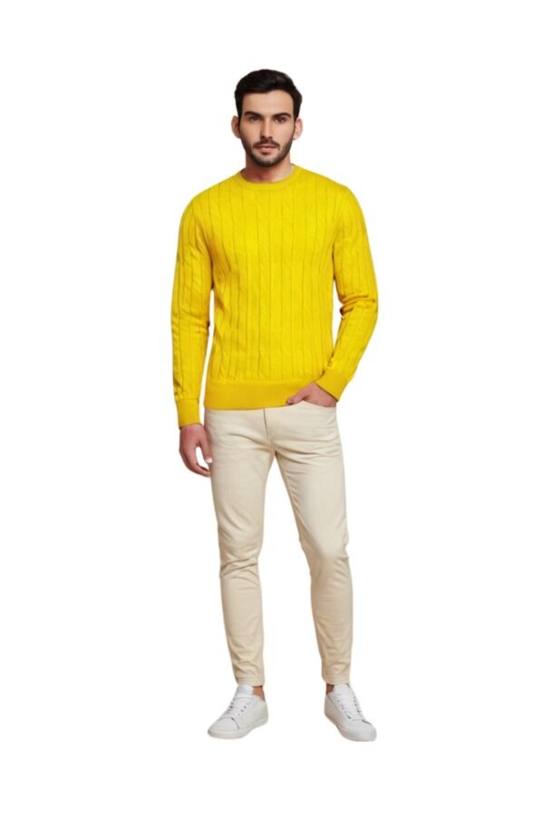 Sunshine Cable Knit Sweater For Men - Asl Crystal - Image 7