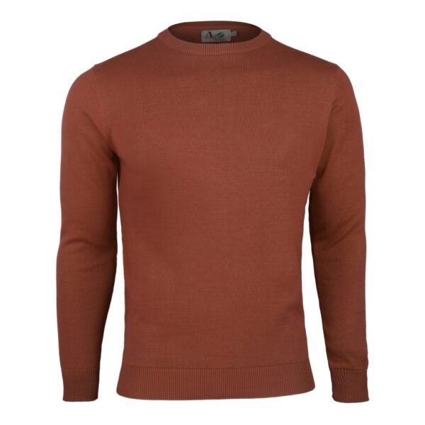 Autumn Hues Men's Crew Neck Sweater  - Asl Crystal - Image 3