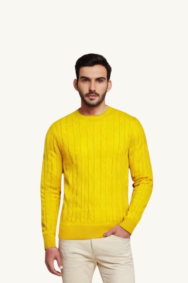 Sunshine Cable Knit Sweater For Men - Asl Crystal