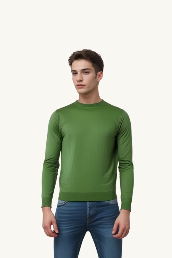 Asl Crystal Men's Classic Crew Neck Sweater in Olive Green